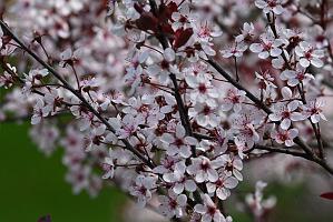 2025-05027004 Pointe Rok, MA